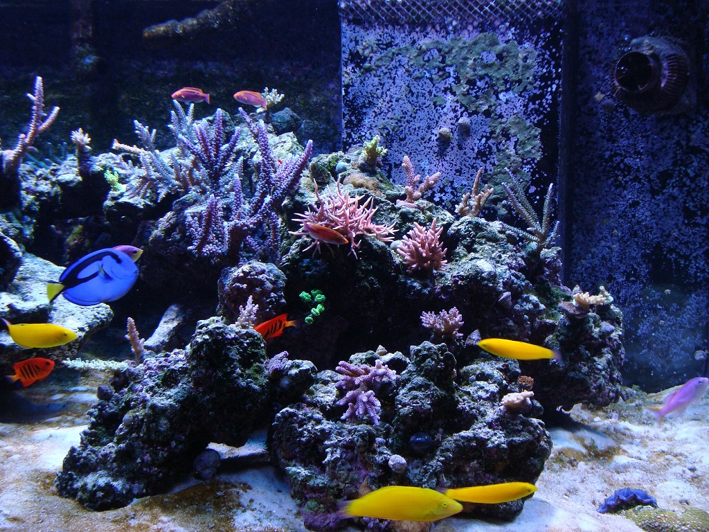 010e-bd07-5642-785f.jpg