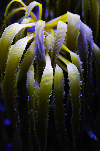 3843200876_697d482ed0.jpg