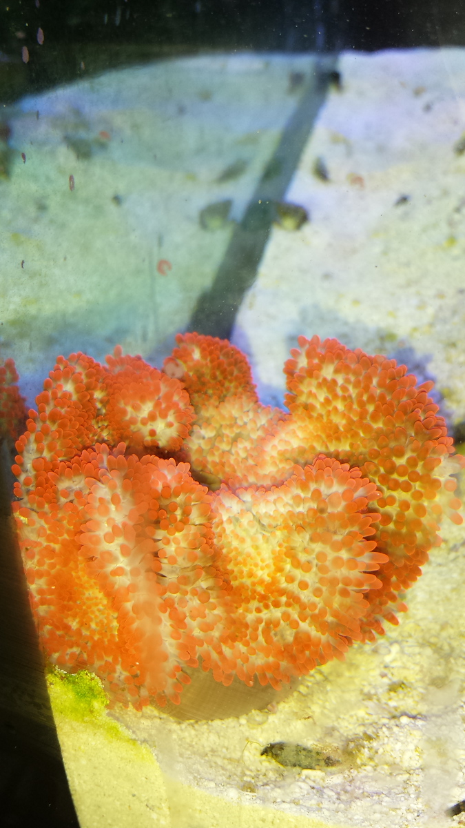 20131102_182251-X3.jpg
