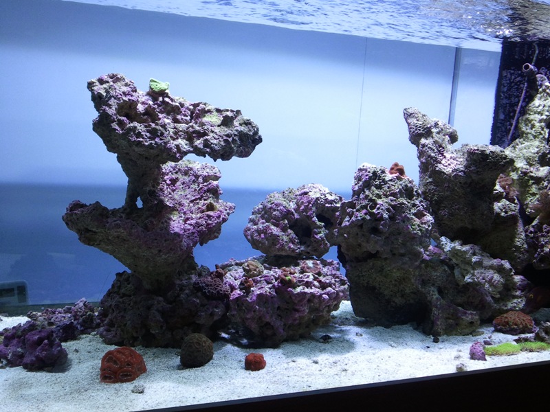 2011-02-20%2020.51.41.jpg