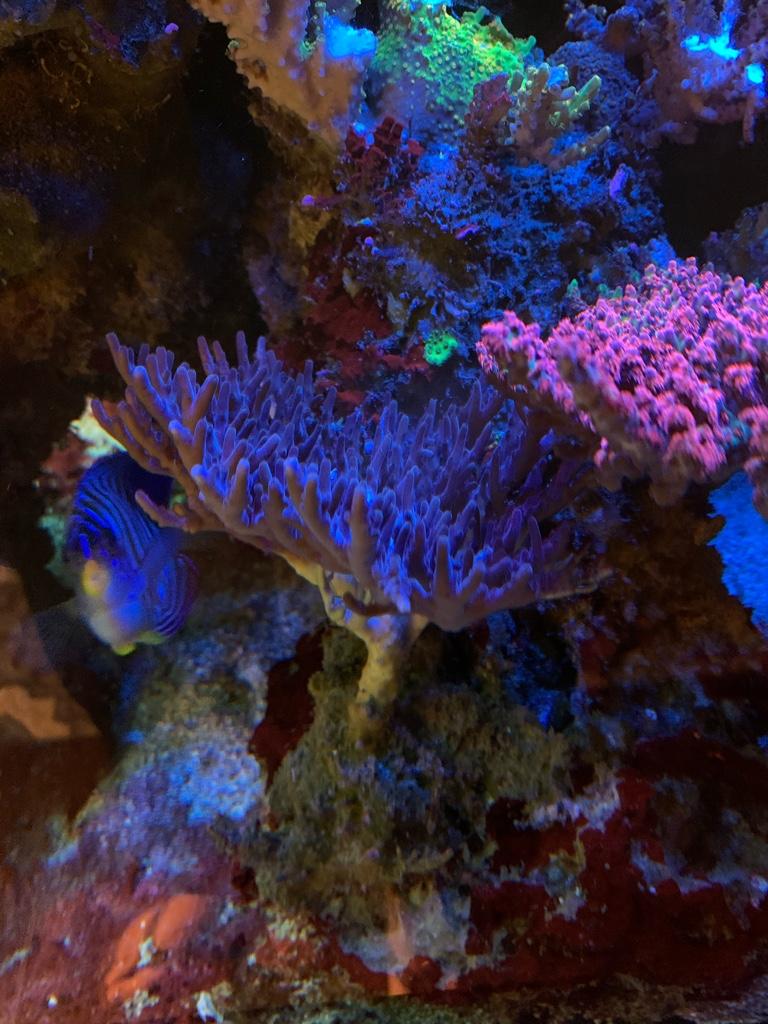 dac051d6492e94f9019fbfda640f526b.jpg