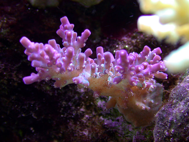 DSCN3410.jpg