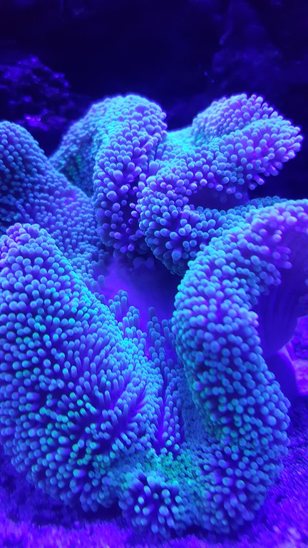 20170104_222204-XL.jpg