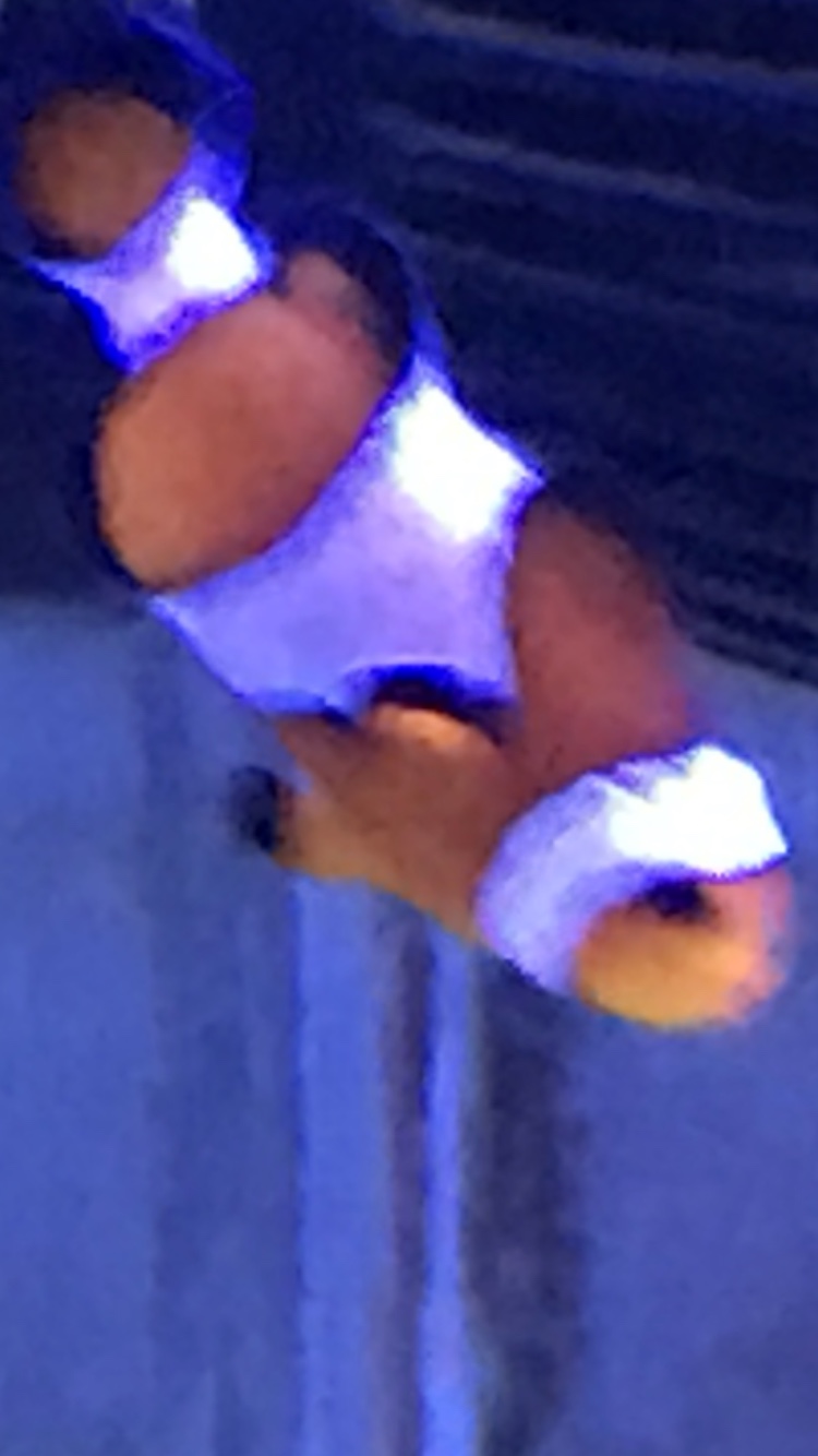 1b9dc4fbfcb52a2fdf2de131cb5e67ef.png