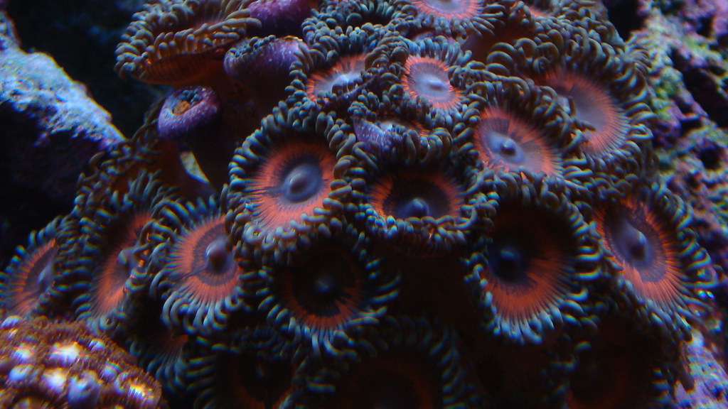 3751039774_d5274446d8_b.jpg