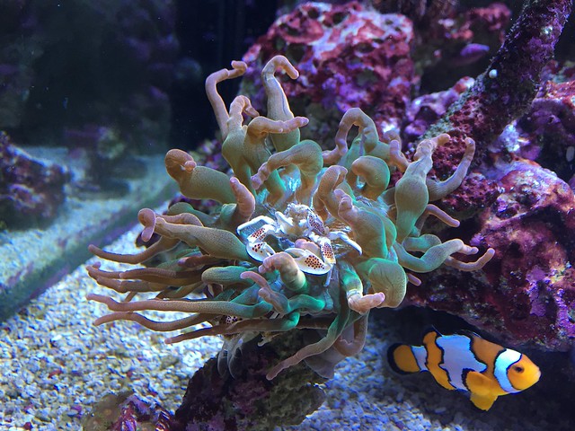 23253678370_b9e9c6083f_z_d.jpg