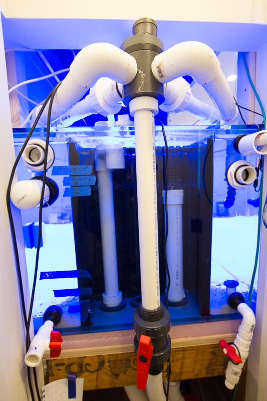 i-d85g3Nz.jpg