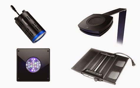 LED-Lights.jpg