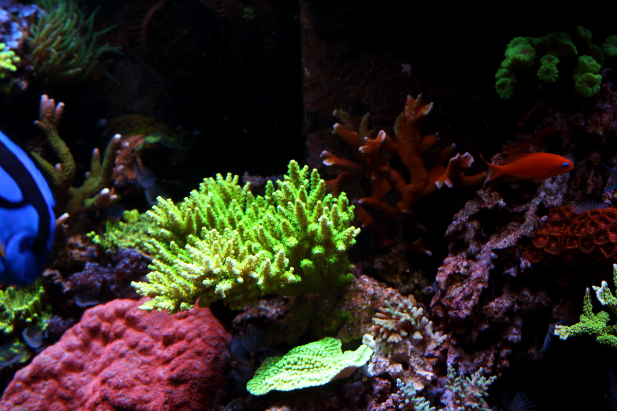 Sept20130017.JPG