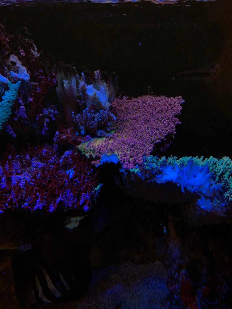 04d76114711b599e55eb0e777fa26bf7.jpg