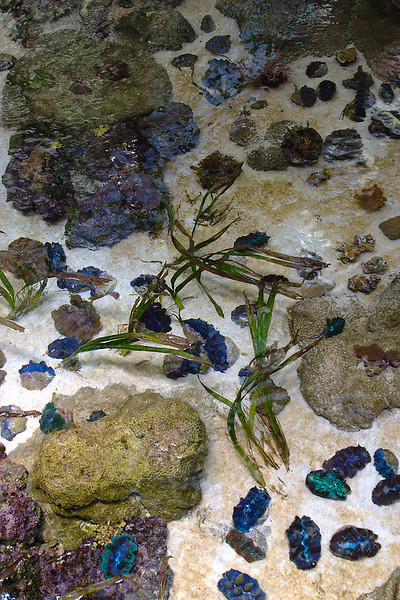 390824668_JetEY-400x600.jpg