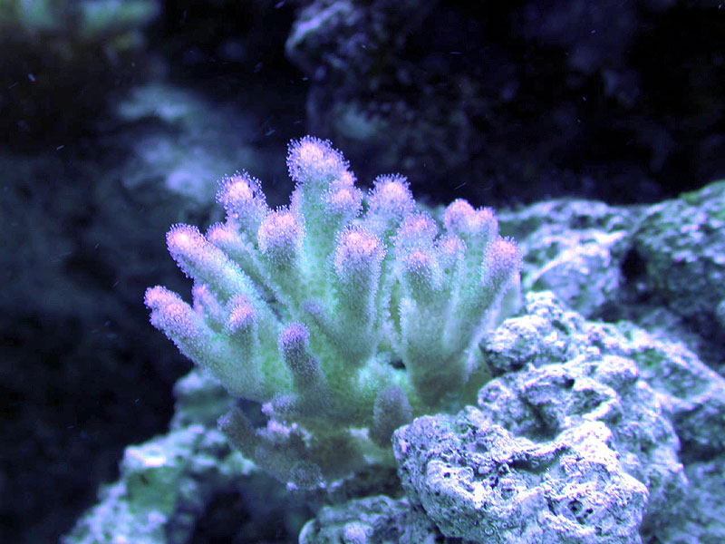 DSCN2700.jpg