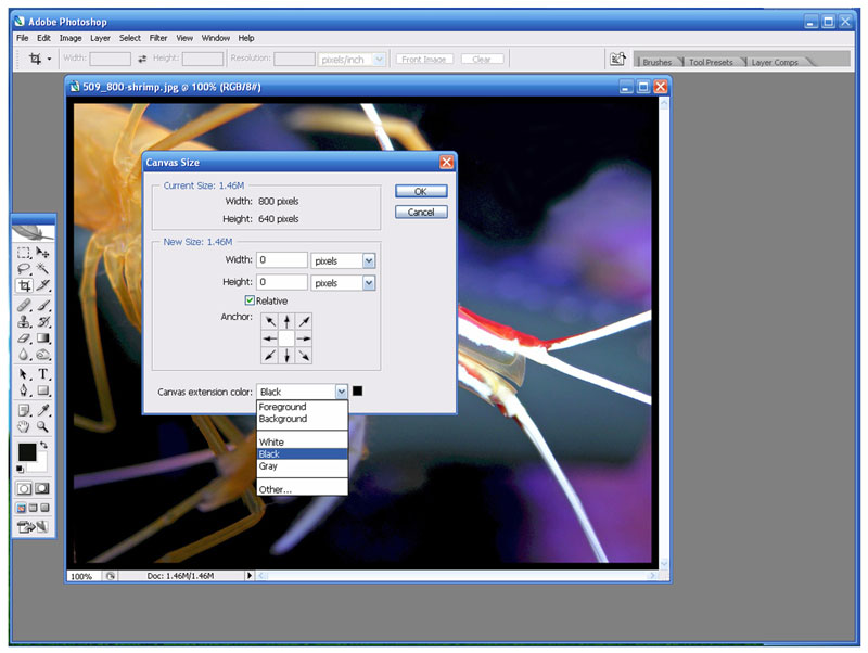 511_ps_canvas.jpg