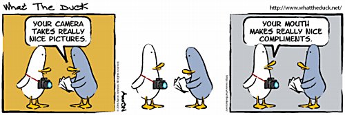 wtd95_small.jpg