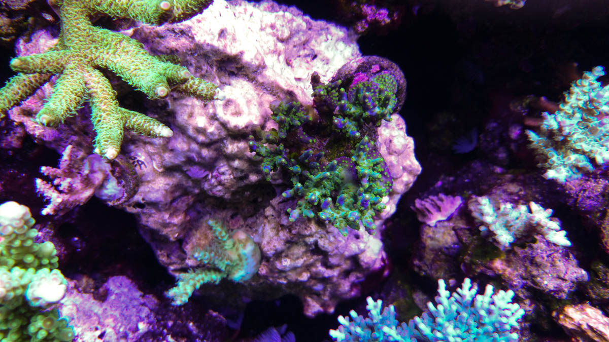 DSC_0037.jpg