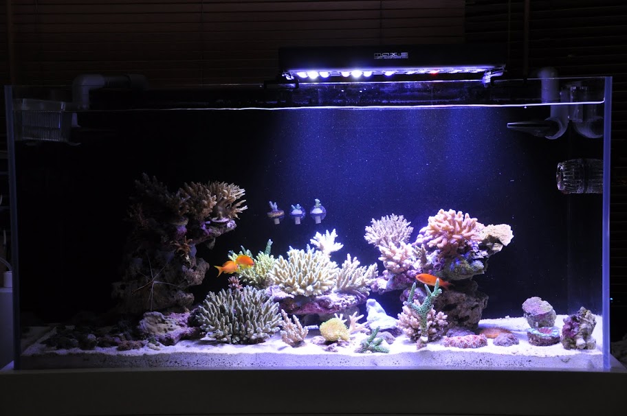 DSC_2864.JPG