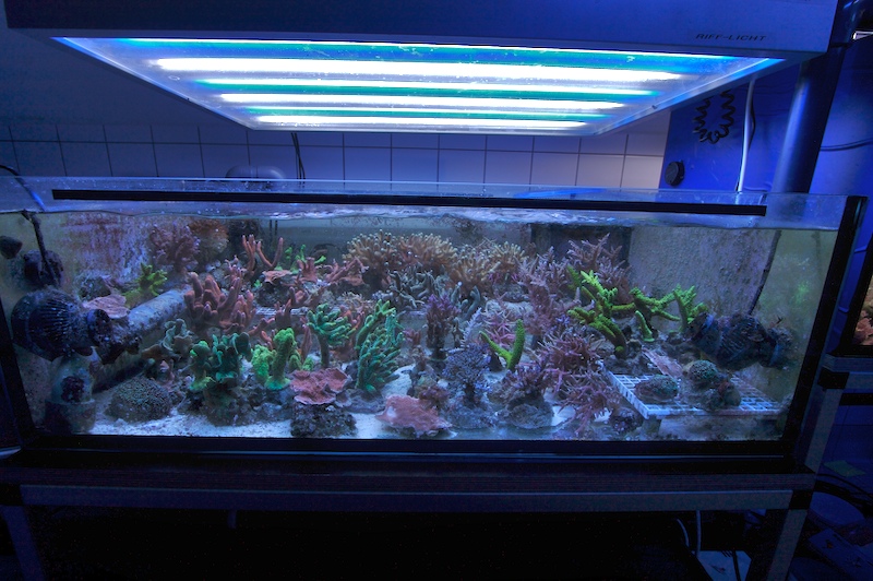 2008-02-frags1.jpg