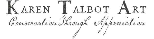 wordmark.jpg