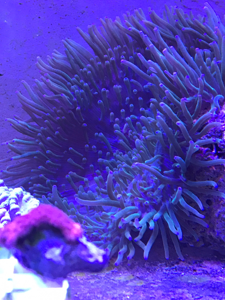 4a3c2e947dc03c9b126c7129957adc81.jpg