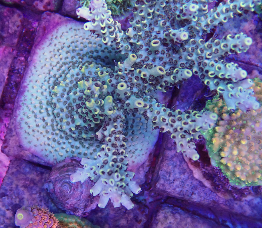 P7171189.jpg