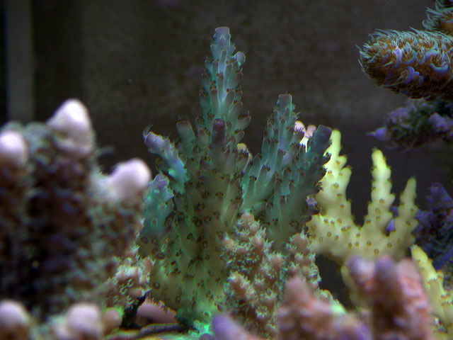 DSCN4629.jpg