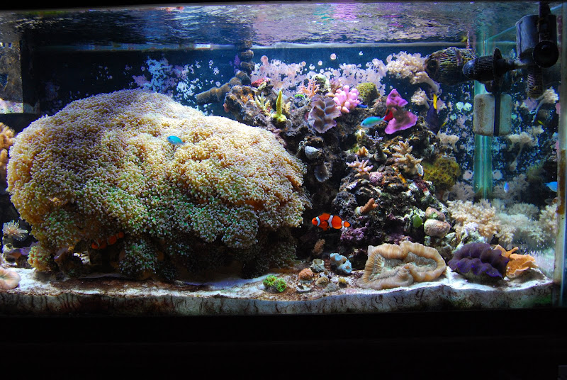 DSC_0097.JPG