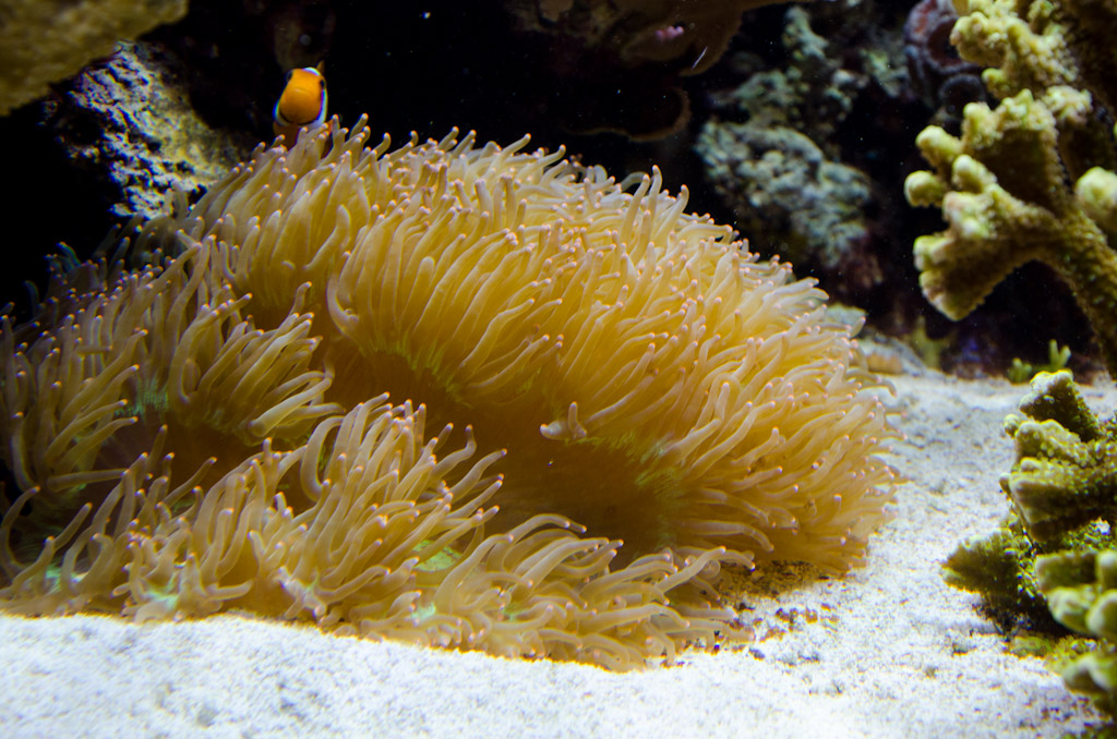 DSC_3741.jpg