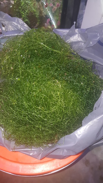 20170207_181042-L.jpg