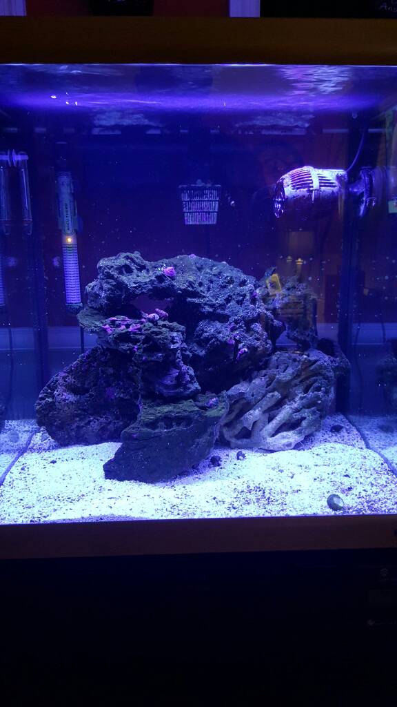 26583fa1feb75ad50b68af53bfe505cc.jpg