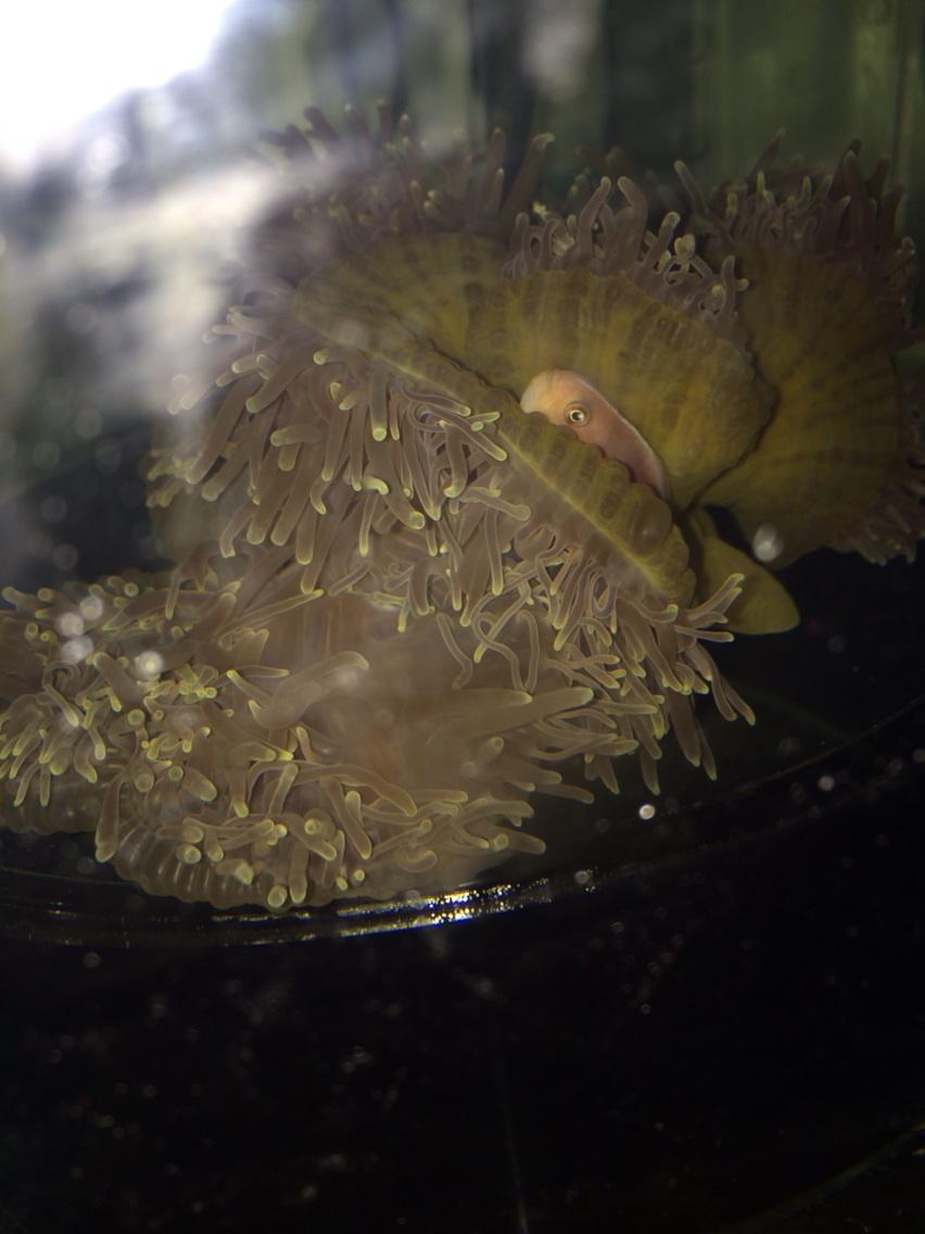 ByxsdL0IEAAnjtL.jpg:large