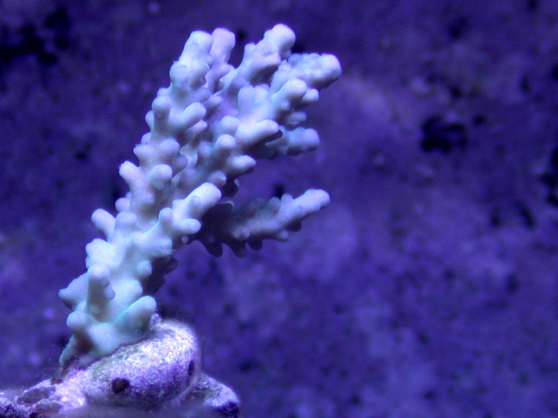 DSCN3160.jpg