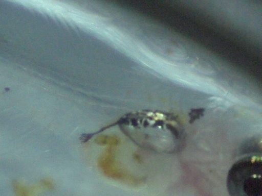 AL_647_8.jpg