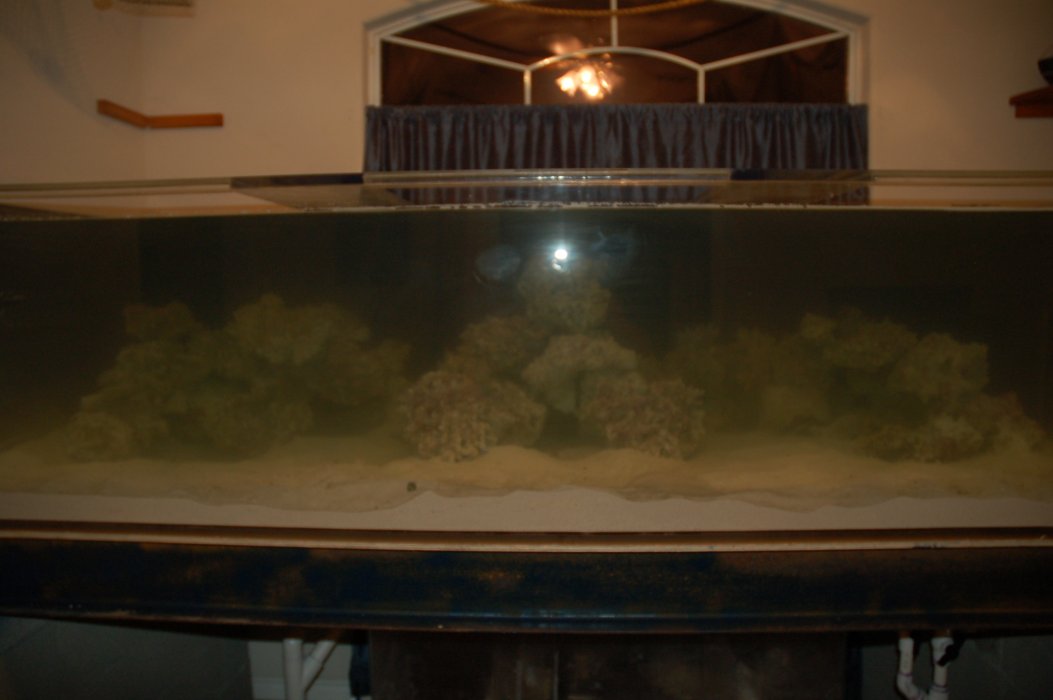 fishroom49.jpg