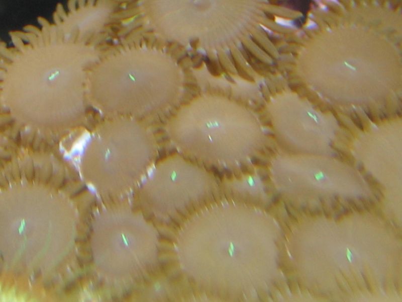 167362178_b96a80ee36_o.jpg