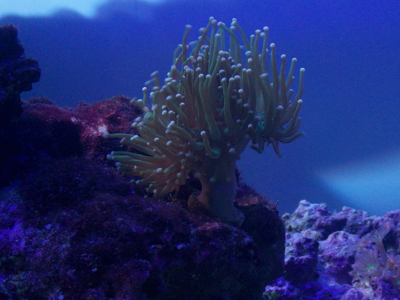 100_9634.jpg