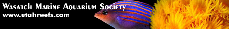 WMASBanner2.jpg