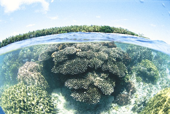 16%20majuro%20fisheye.JPG