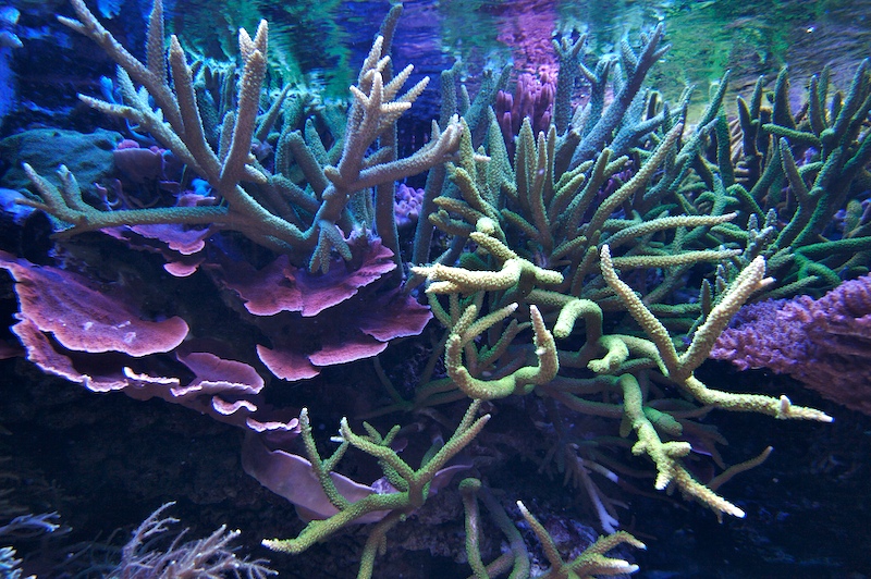 20080929-4.jpg