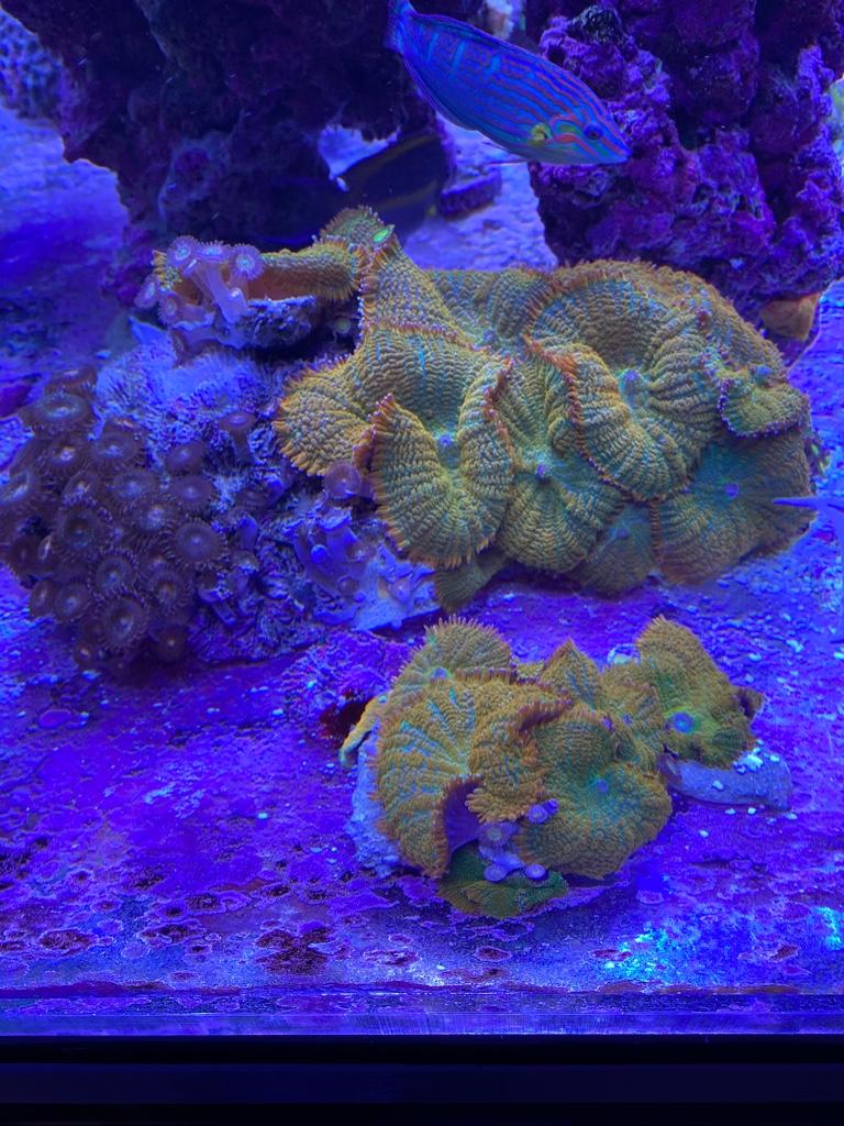 0032b0d672b934dce8d553c7c8afe3b1.jpg