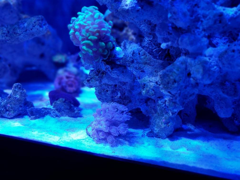 c41ccb4b5590ee64f0846492f60046c4.jpg