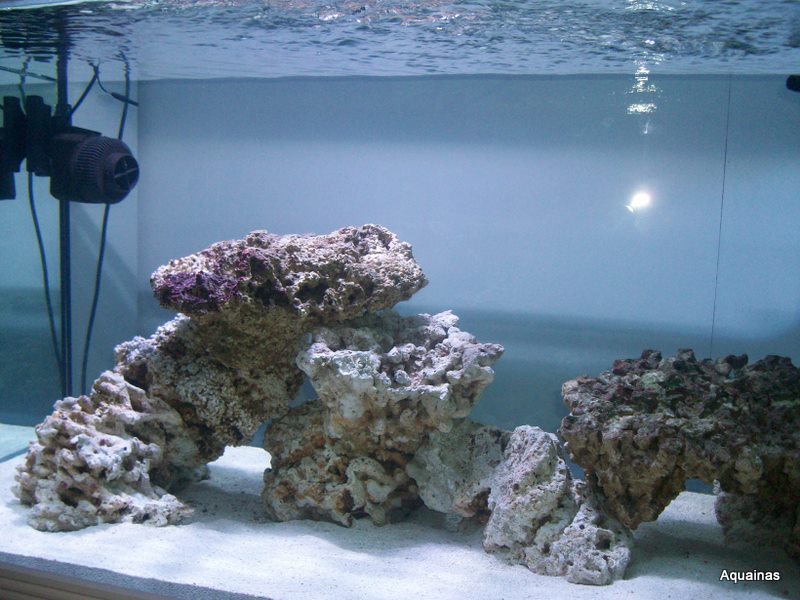 100_6805.jpg
