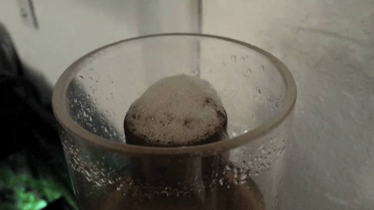 9575143480_ca041e804e_o.gif