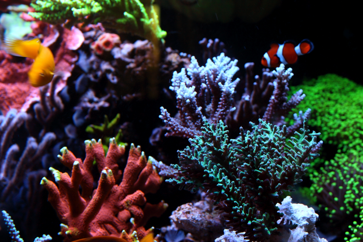 Sept20130014.JPG