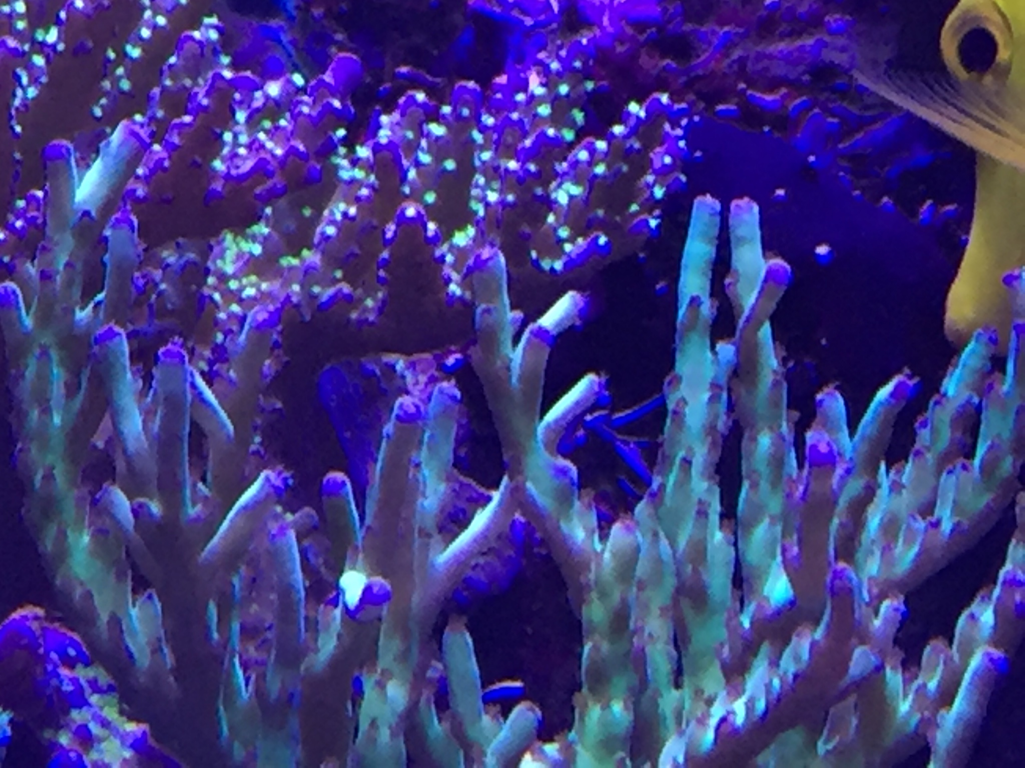 6f50349b076e2d612d86d09da37a8f0a.jpg