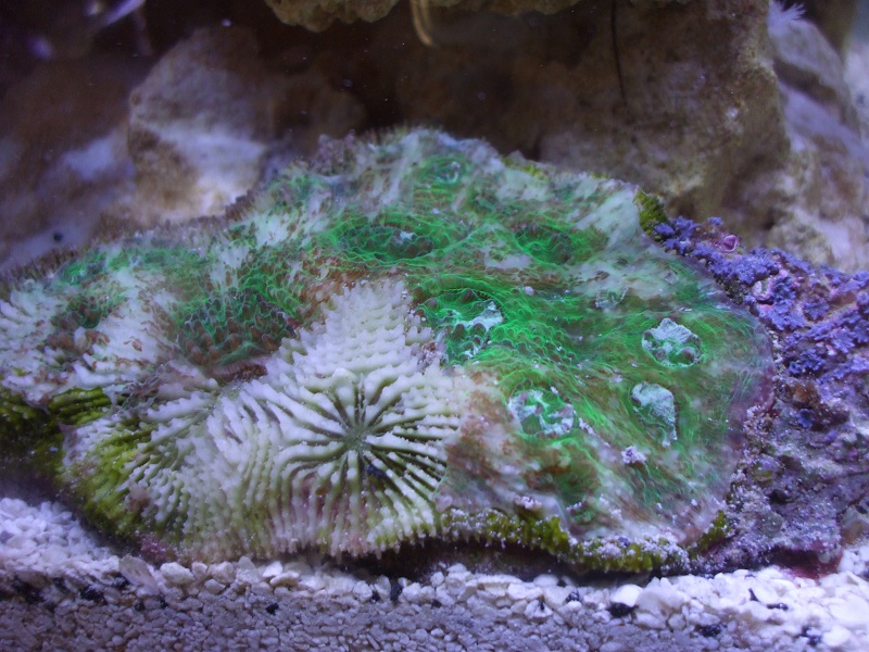 REDSCF1791.JPG