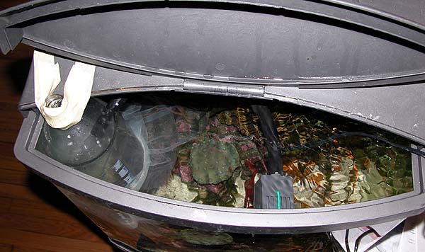 DSCN2465_stirrerintank.jpg