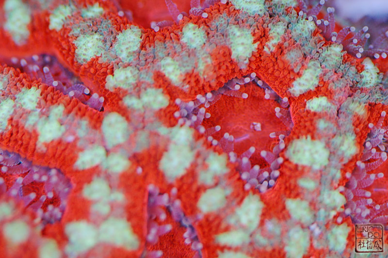 D2X_1101.jpg