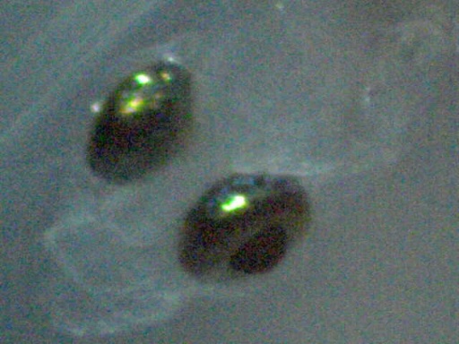 GBG_180_2.jpg