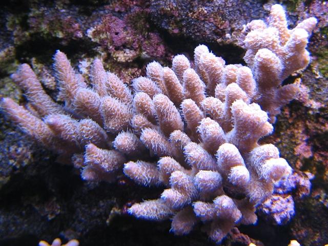 20080214_2aa0256e64b3f4d5cf45MNnLkSOBBMyH.jpg