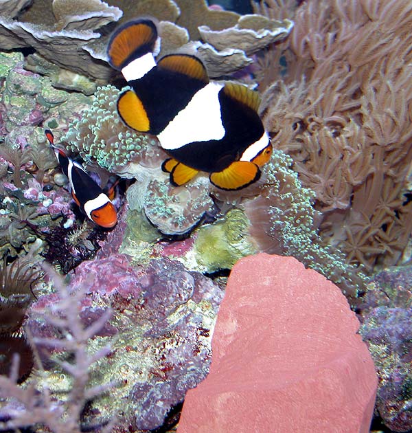 DSCN7715.jpg